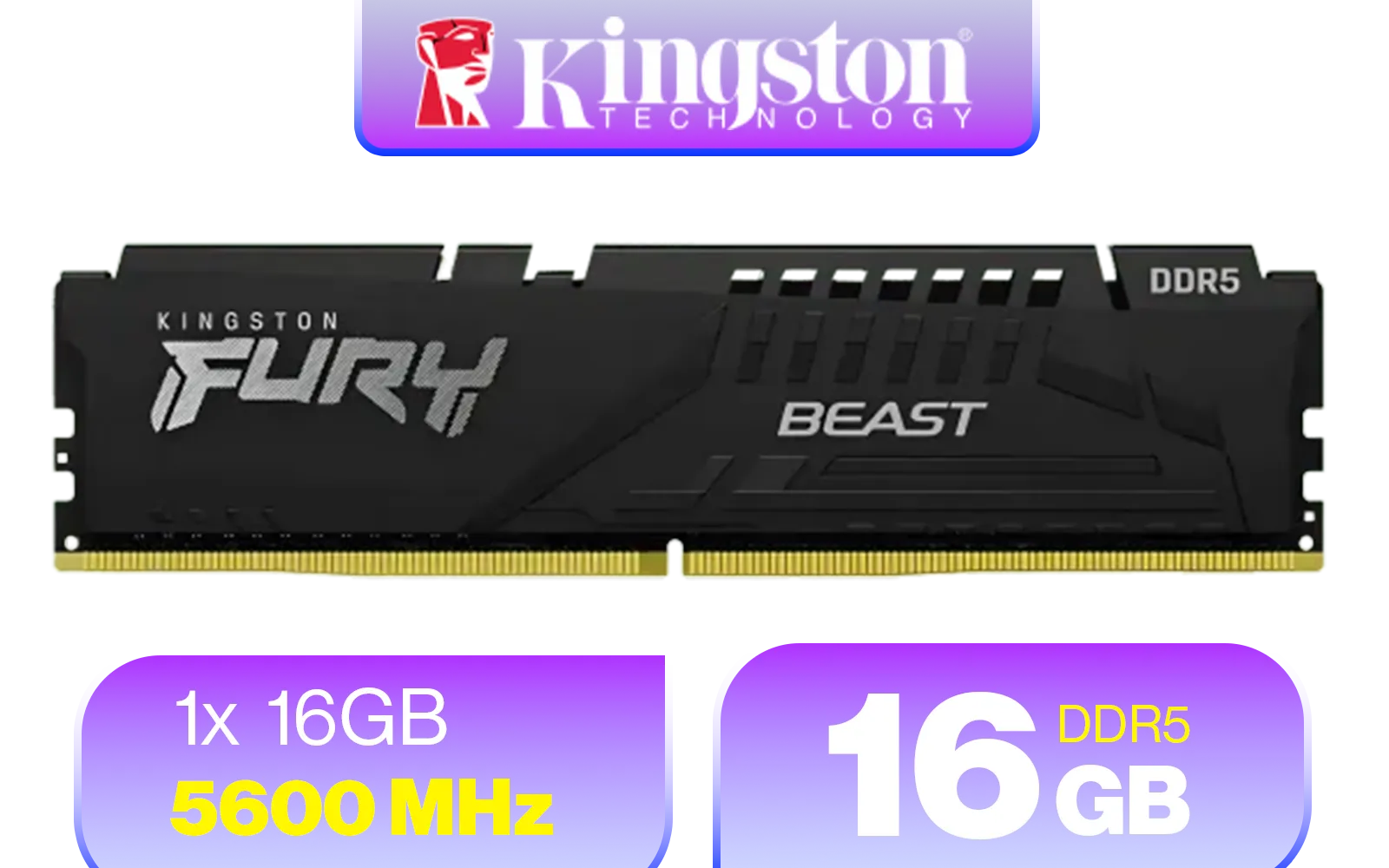 Kingston Fury Beast 16GB 5600MHz DDR5 CL40 Desktop Memory
