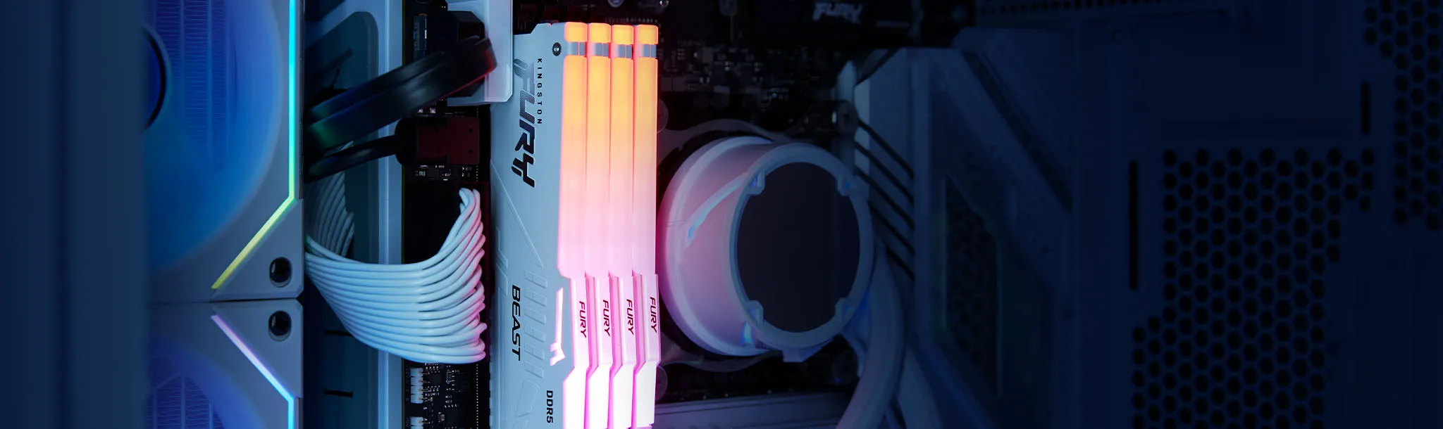 Kingston Fury Beast 64GB DDR5 Memory in White