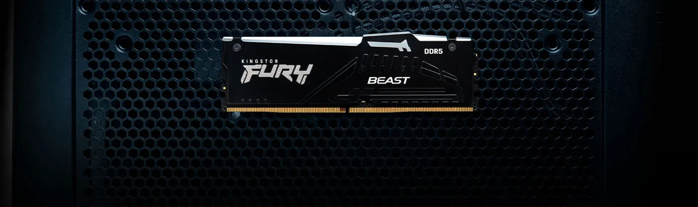 Kingston Fury Beast RGB 32GB (2x16GB) DDR5 6400 Desktop Memory