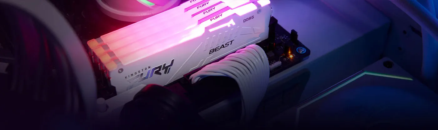 Kingston FURY Beast RGB 16GB DDR5 Memory Mobile Version