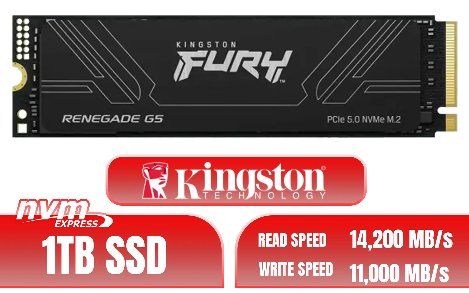 WD SN8100 1TB Performance Analysis