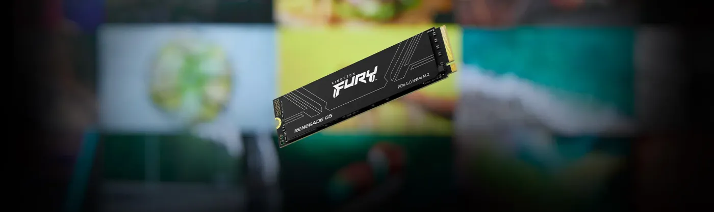 Kingston Fury Renegade 1TB SSD shown with its capacity highlighted