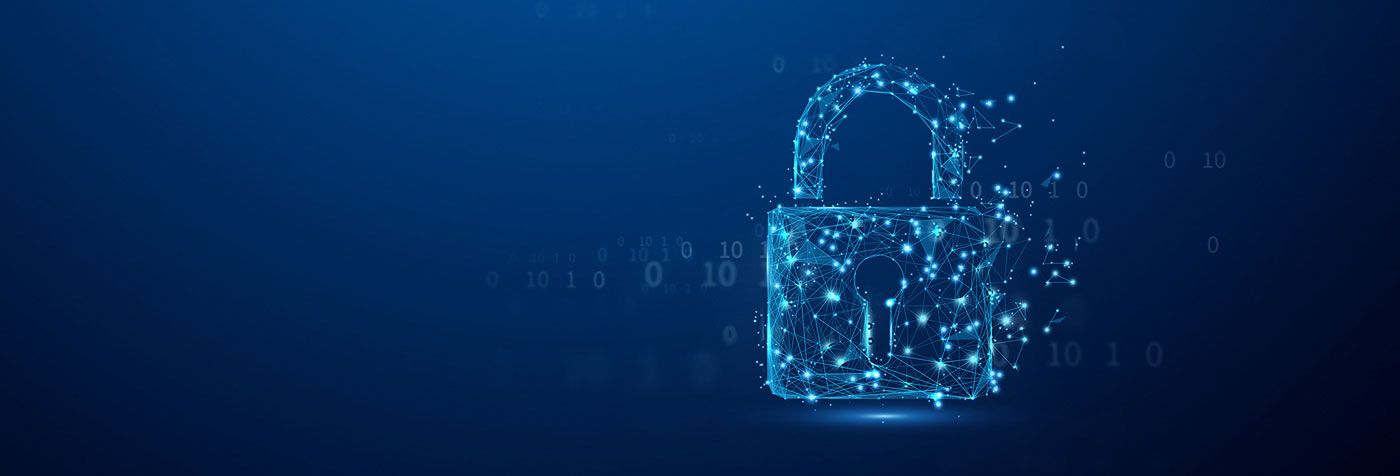 Secure microprocessor and encryption hardware in the IronKey D500S