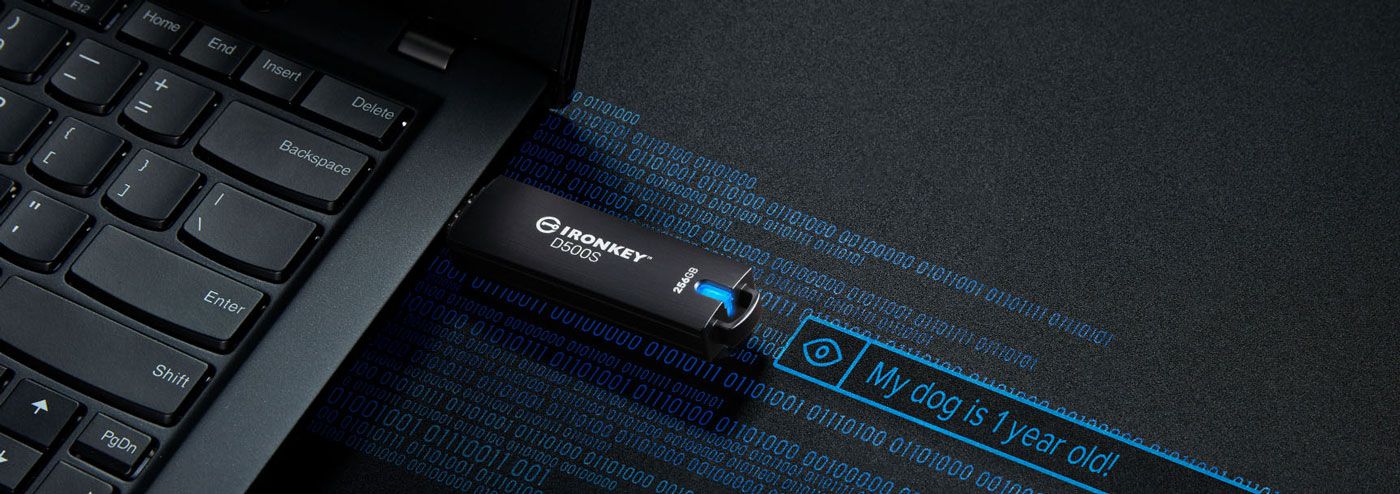 Complex password and passphrase entry modes on the IronKey D500S