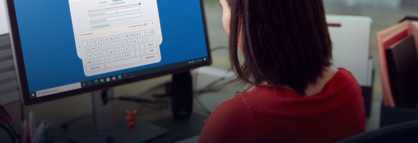 Virtual keyboard and password visibility features on the Vault Privacy 50