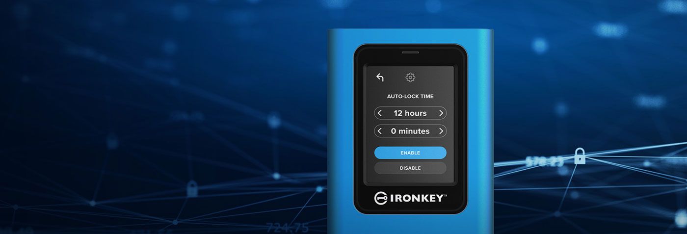 Auto-lock, randomised keypad and Secure-Erase options on the Vault Privacy 80