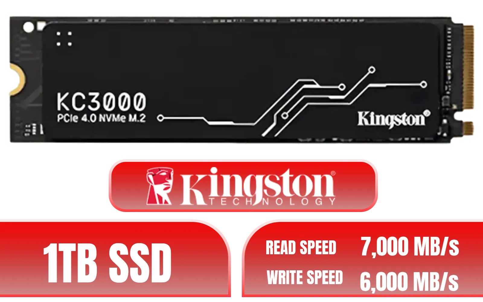 WD SN8100 1TB Performance Analysis
