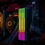klevv-cras-v-rgb-32gb-7200mhz-ddr5-gaming-memory-2000px-v00012_sml.webp