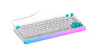 Thumbnail 17