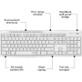 logitech-mk295-silent-wireless-combo-off-white-1000px-v0007.webp