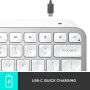 logitech-mx-keys-mini-wireless-keyboard-pale-gray-2000px-v09.webp