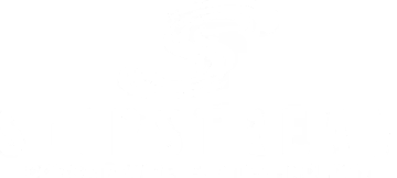 Corsair Slipstream Wireless Technology Logo