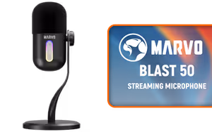 Gallery image 1