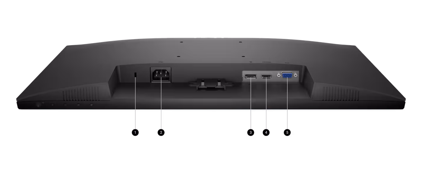 Dell monitor rear ports and connectivity options