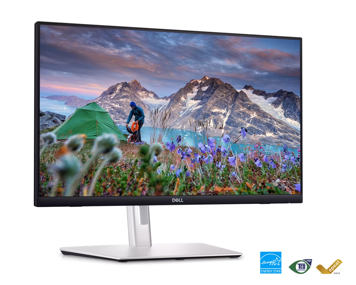 Dell P2424HT USB-C Monitor.