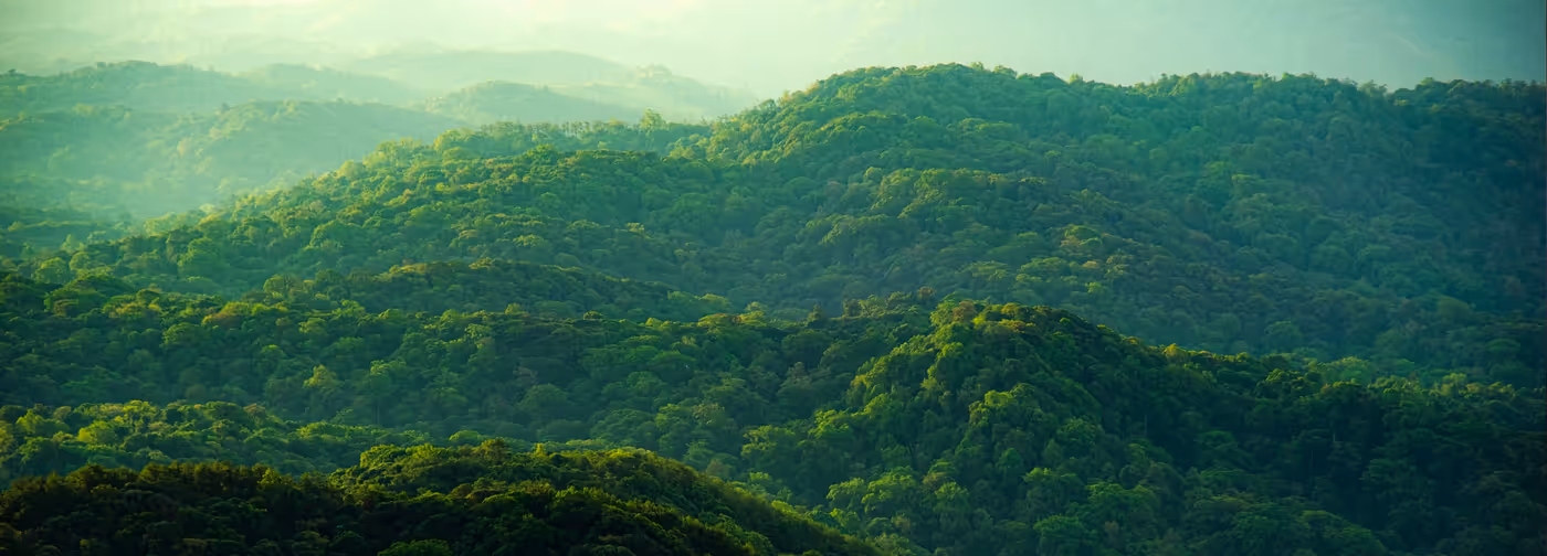 Sustainability features and environmental certifications of Dell monitor