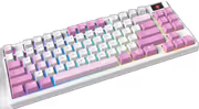[OPEN BOX] MSI Forge GK600 TKL Wireless Mechanical Keyboard - image 13
