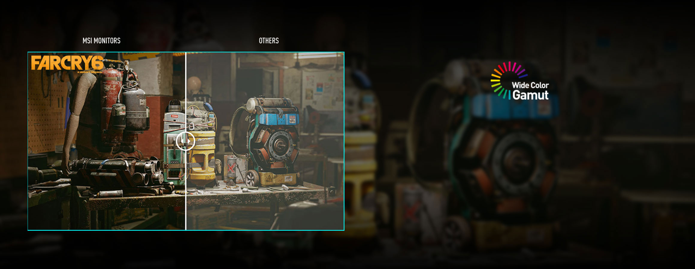 MSI Gaming Monitor Color Accuracy