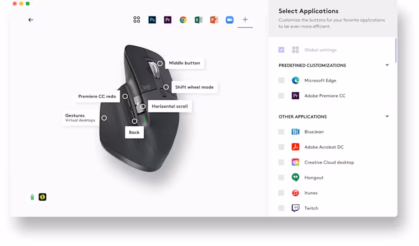 Display of software application compatibility and customized workflows for productivity