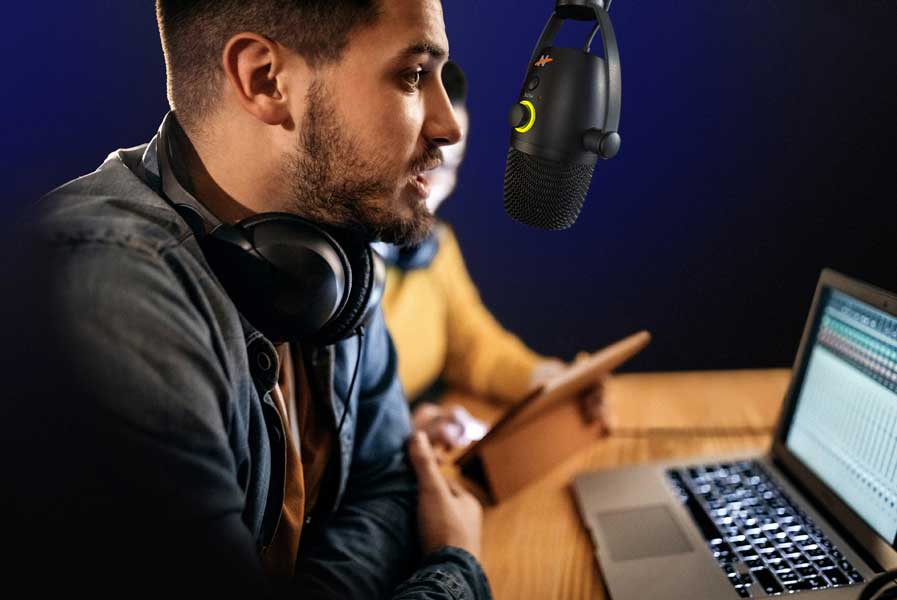 Bumblebee II microphone audio performance display