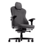 noblechairs-aura-tx-anthracite-gaming-chair-nbl-aur-tx-atc-2000px-nb01.avif