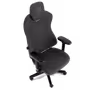 noblechairs-aura-tx-anthracite-gaming-chair-nbl-aur-tx-atc-2000px-nb04.avif