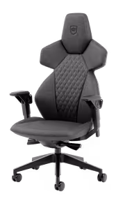 noblechairs Dawn TX Granite Gaming & Office Chair - Lumbar Support - image 5