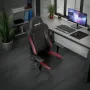 noblechairs-ence-edition-gaming-chair-2000px-v00031-edited.webp