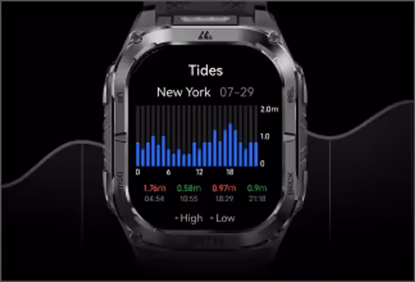 Tidal data interface showing hourly low and high tide information