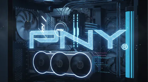pny 500x277px v1