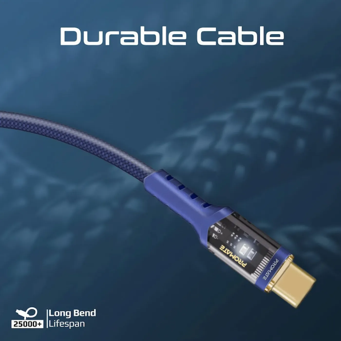 Both USB-C connectors of the navy LucidLine-CC200 cable