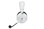 razer-blackshar-web-oqwj5f-1.webp
