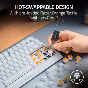 Gallery image 5