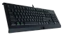 razer-cynosa-lite-essential-gaming-keyboard-2000px-v002.webp
