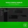 razer-cynosa-lite-essential-gaming-keyboard-2000px-v008.webp