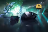 Thumbnail 13