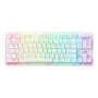 razer-deathstalker-v2-pro-tenkeyless-optical-keyboard-1500px-v1-0001.webp