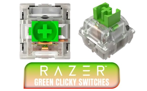 razer-mechanical-green-clicky-switches-1600px-v01.webp