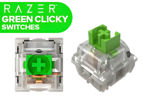 razer-mechanical-green-clicky-switches-1800px-v1.webp