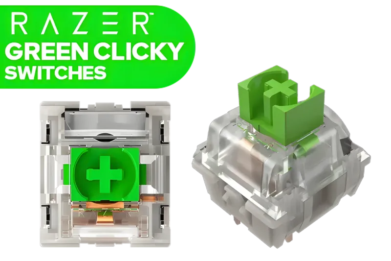 razer-mechanical-green-clicky-switches-18700px-v1.webp
