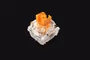 razer-mechanical-orange-tactile-switches-1500px-tu3-0001.avif