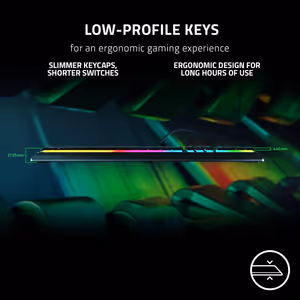 Gallery image 10