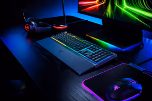 Gallery image 14