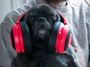 razer-pewdiepie-kraken-pro-v2-analog-esports-gaming-headset-1000px-v1-0012.jpg