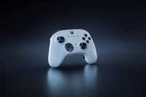 Gallery image 17