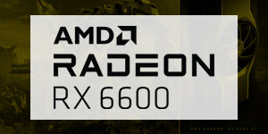 RX 6600