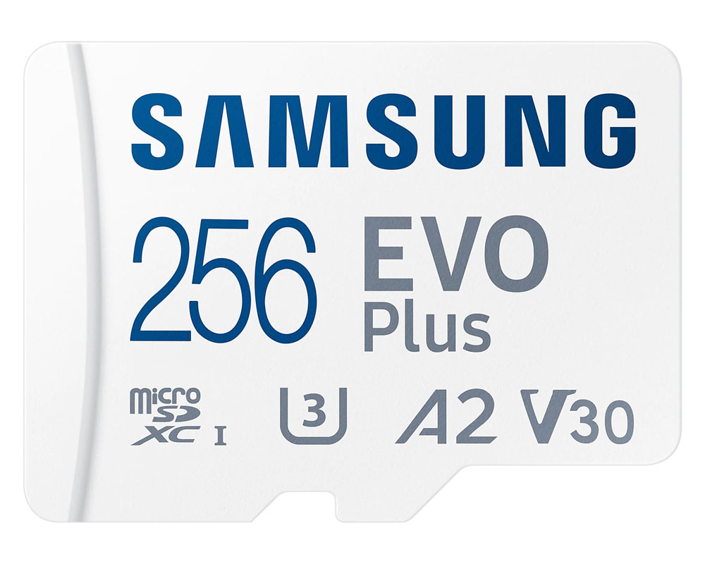 samsung-256gb-evo-plus-micro-sd-card-1000px-v0001.jpg