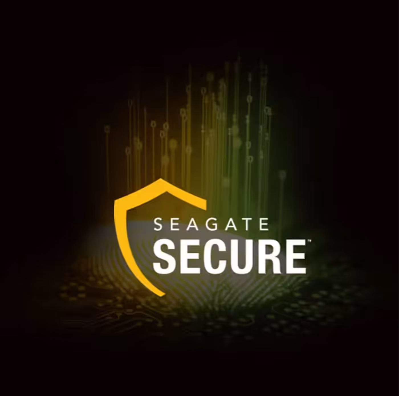 Seagate Exos 7E10 Advanced Enterprise Security Features