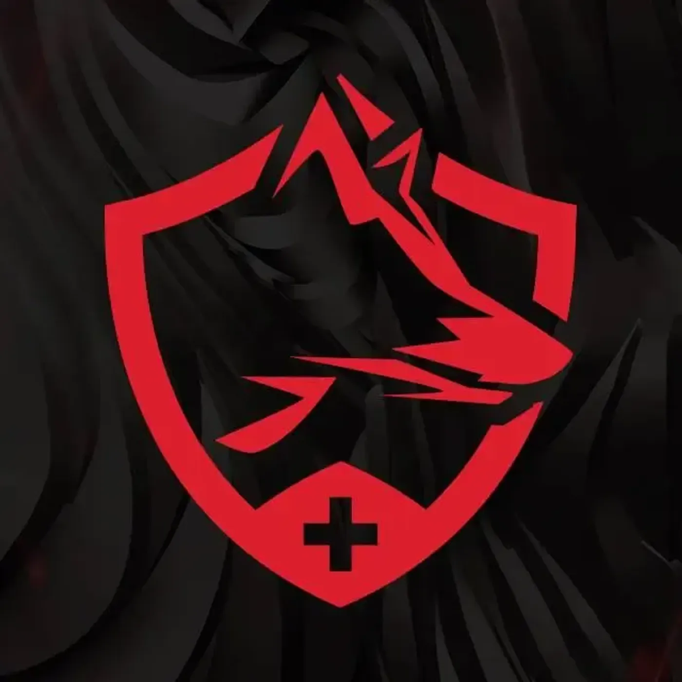 Seagate IronWolf NAS drive with health management monitoring illustrated