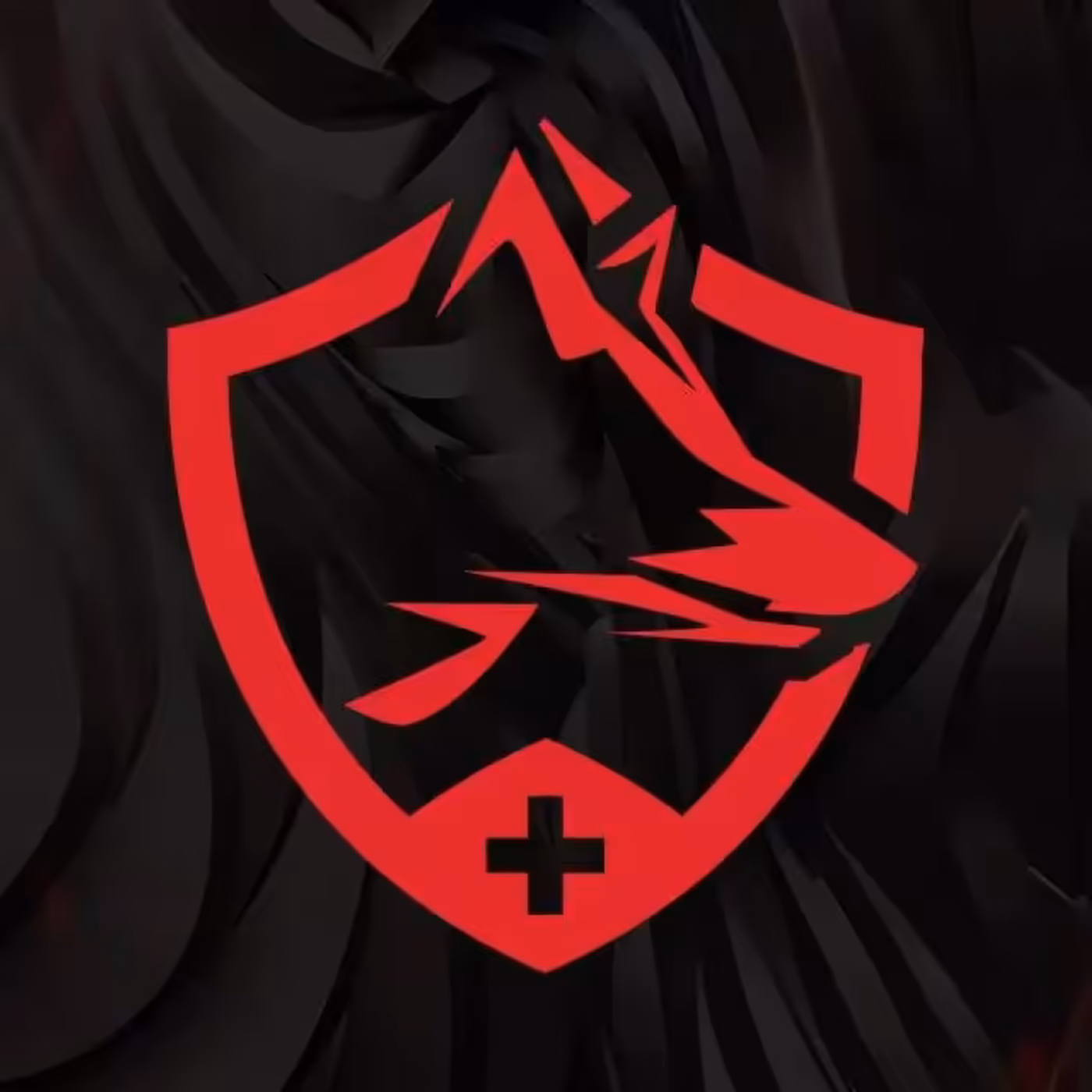 IronWolf Health Management logo and monitoring interface graphic